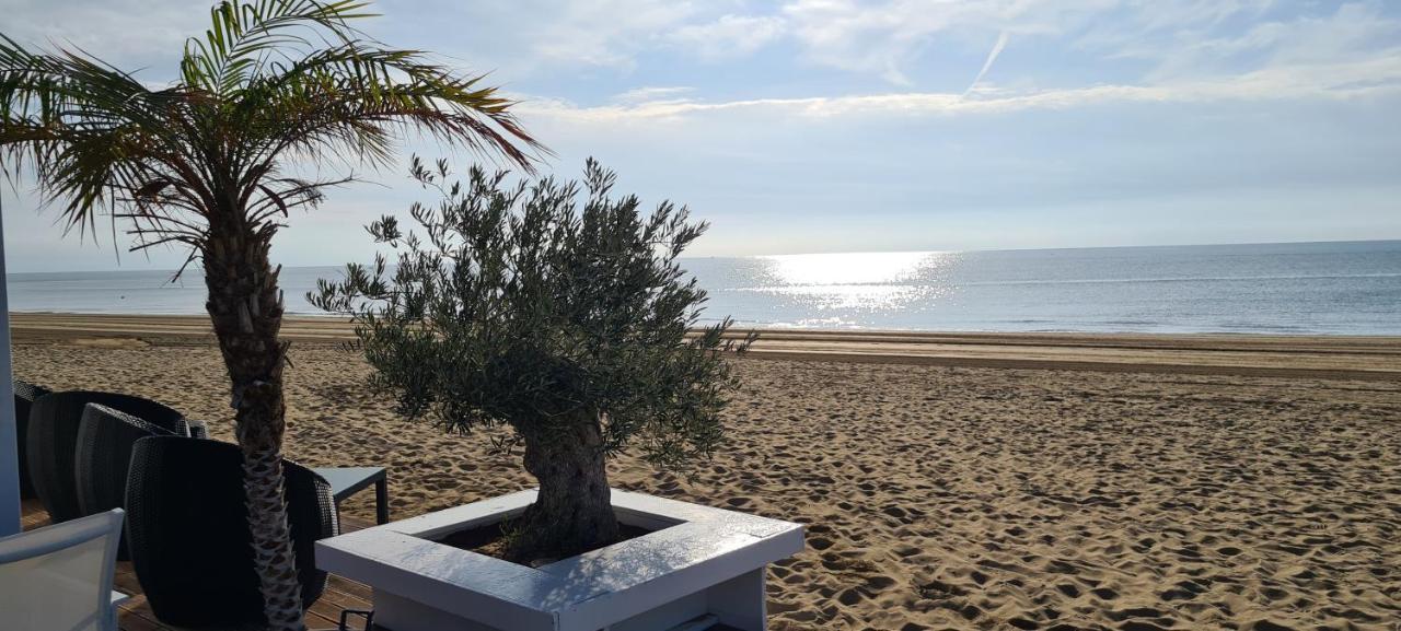 Adria Beach Apartment Cavallino-Treporti Eksteriør billede